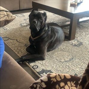 Meet your Posher, Manjot